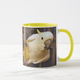 Bella boy mug