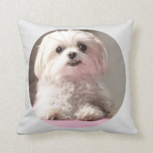 Bella Let's Go See Maltese Pillow