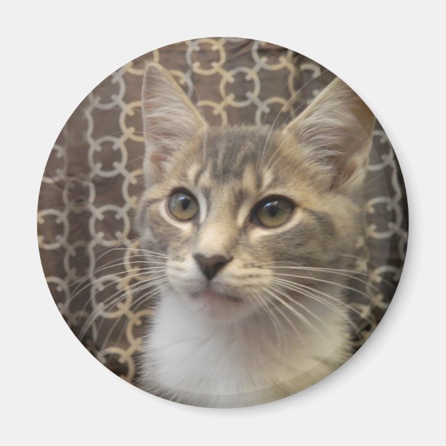 Bella Magnet (Front)