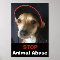 BELLA STOP ANIMAL ABUSE POSTER
