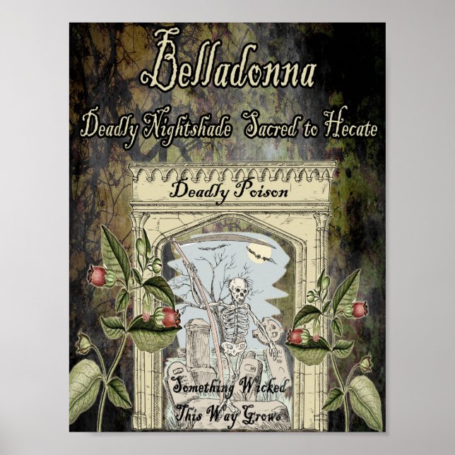 BELLADONNA WITCH'S HERB POSTER (Front)