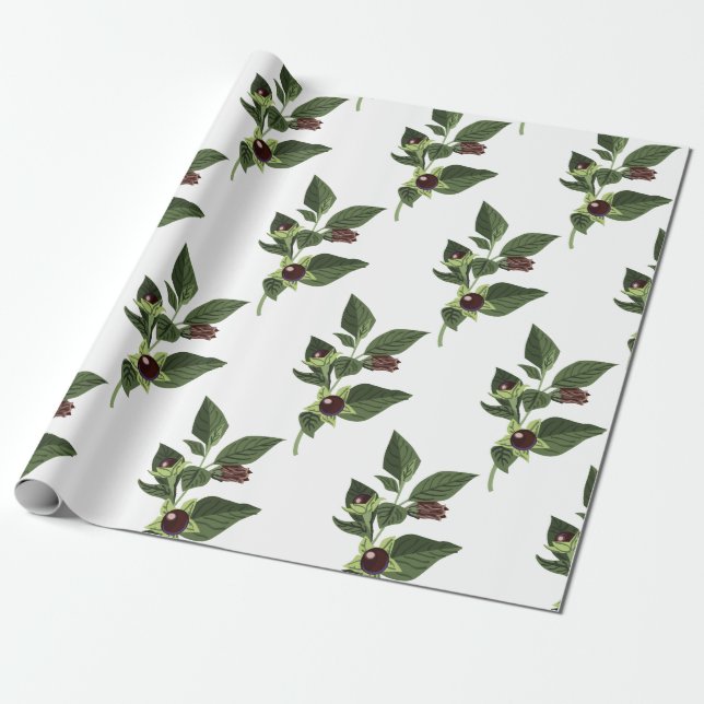 Belladonna Wrapping Paper (Unrolled)