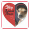 BELLA'S STOP ANIMAL ABUSE STICKER