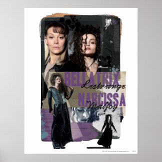 Bellatrix Lestrange and Narcissa Malfoy Poster