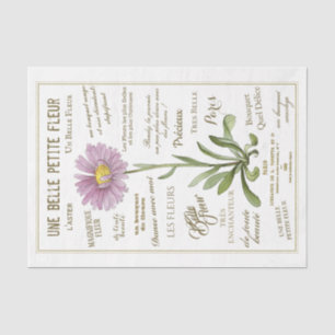 Belle Fleur Aster Flower French Typography Vintage Tissue Paper