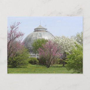 Belle Isle, Detroit, Michigan - Conservatory Postcard