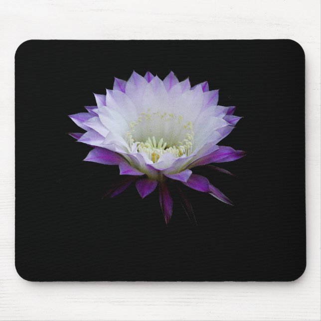 Belle of the ball, night blooming cactus mouse mat (Front)