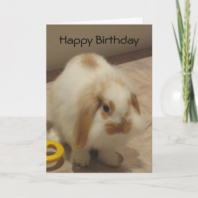 Belle The Rabbit Birthday Card (Front)