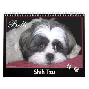 Belle The Shih Tzu Calendar