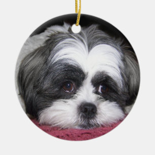 Belle The Shih Tzu Dog Ceramic Tree Decoration