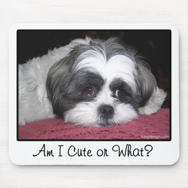 Belle The Shih Tzu Dog Mouse Mat (Front)