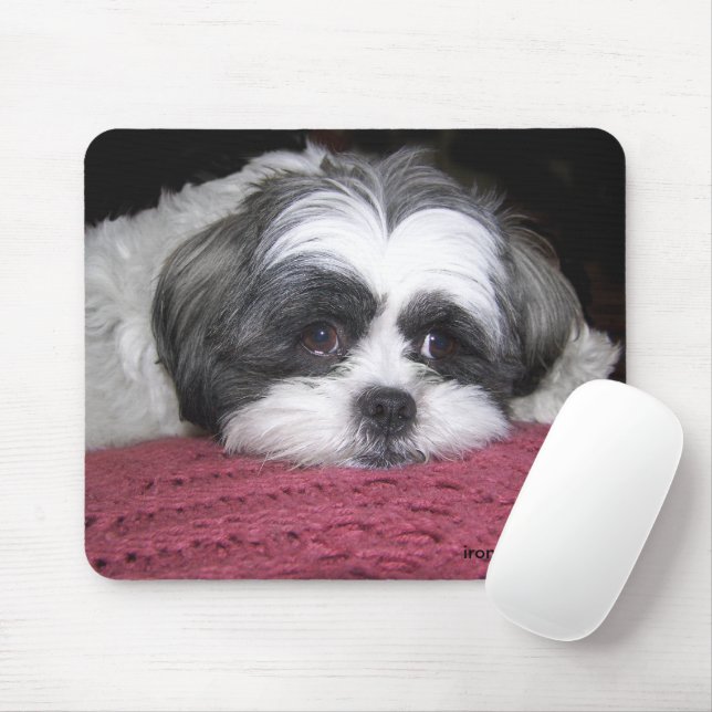 Belle The Shih Tzu Mouse Mat (With Mouse)