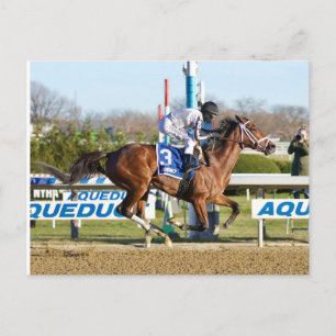 Bellera by Bernardini winning the Comely Stakes Postcard