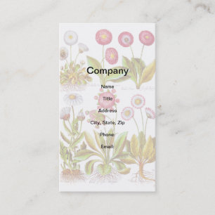 Belles in Pink Business Card
