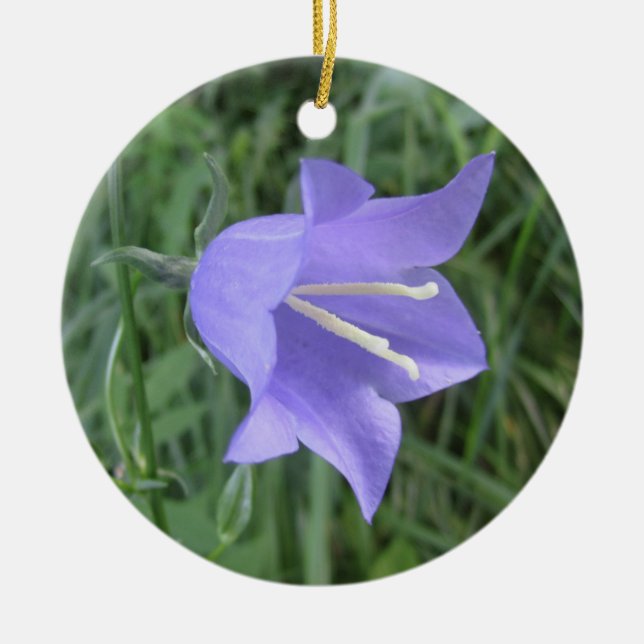 Bellflower Ceramic Tree Decoration (Front)
