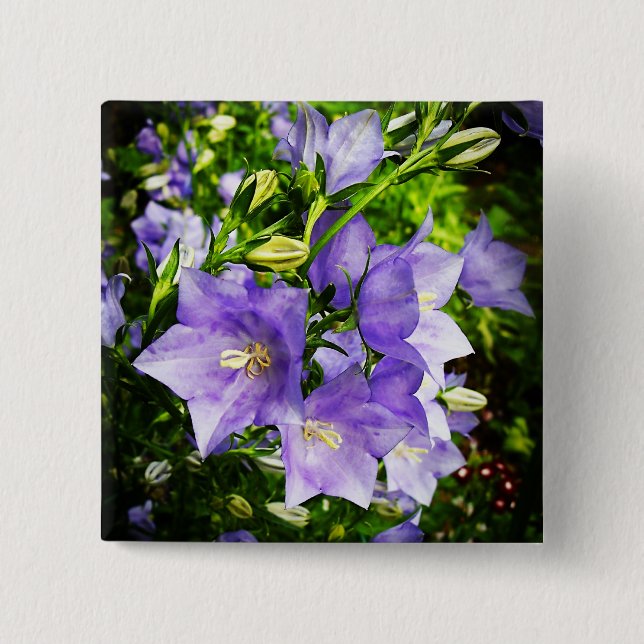 Bellflowers 15 Cm Square Badge (Front)