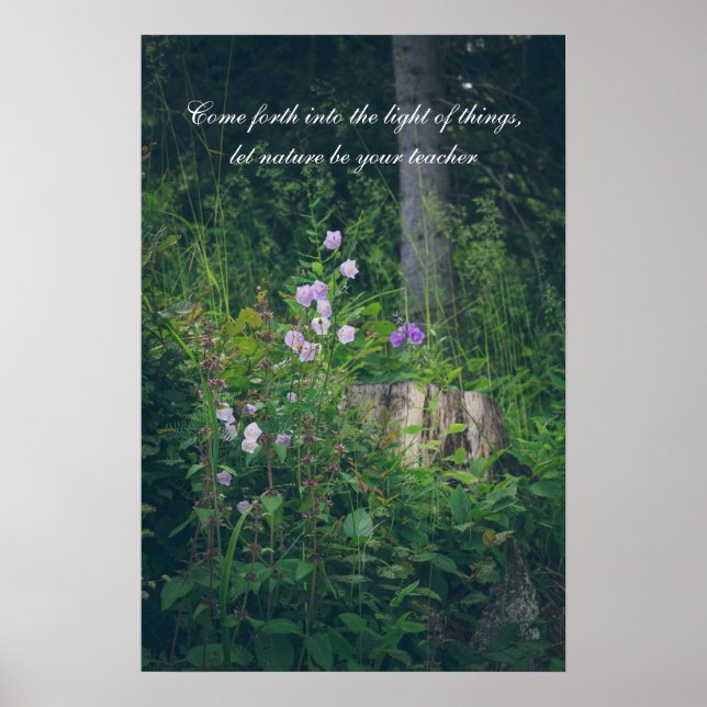 Bellflowers in the woods  poster (Front)