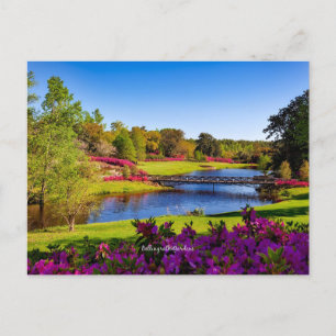 Bellingrath Gardens, Alabama, Postcard