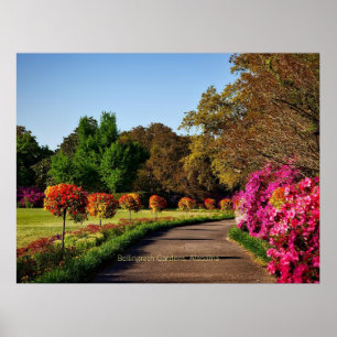 Bellingrath Gardens, Alabama Poster