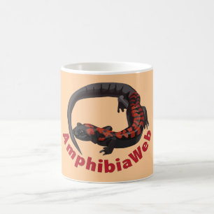Bell's False Brook Salamander Mug