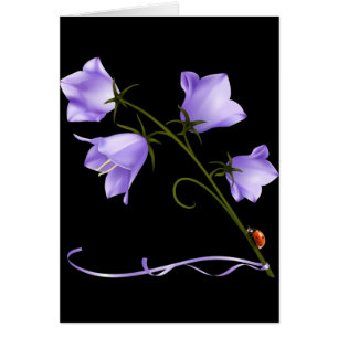 Bells of Ireland Flower