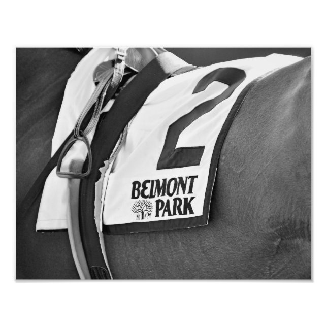 Belmont Park Since 1905 Photo Print (Front)