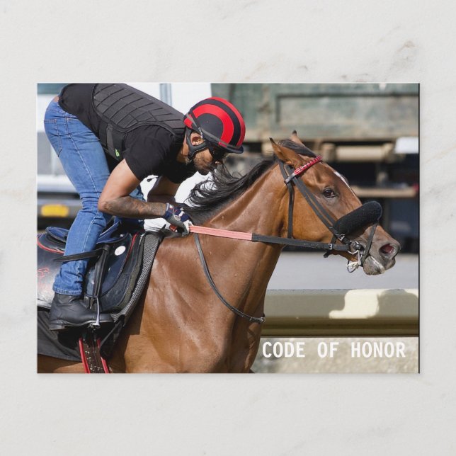 Belmont Park Training Track (1) Postcard (Front)