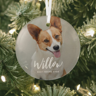Beloved Caption Personalised Photo Ornament