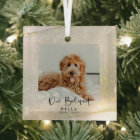 Beloved Pet Loss Memorial Keepsake  Glass Ornament