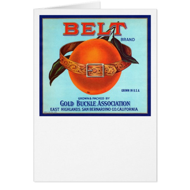Belt Brand California Oranges (Front)