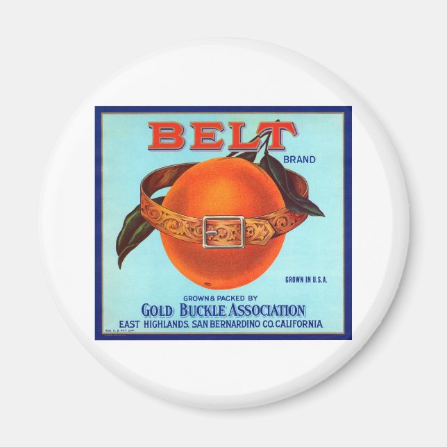 Belt Brand California Oranges Magnet (Front)