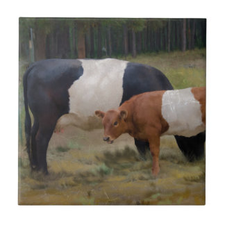 Belted cow and calf with texture tile