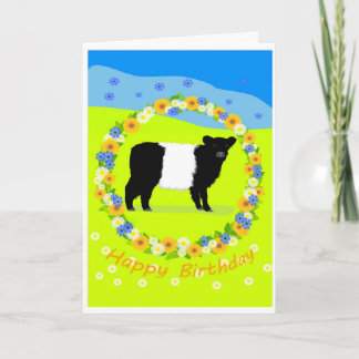 Belted Galloway calf birthday card