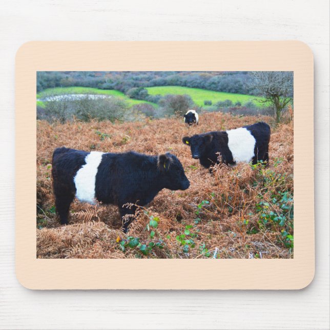 Belted Galloway cattle Mouse Mat (Front)