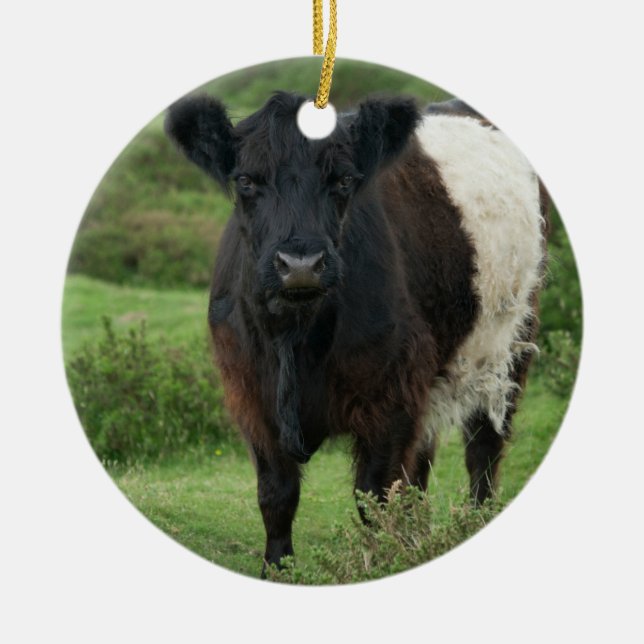 Belted Galloway Cow Ceramic Tree Decoration (Front)
