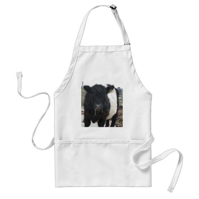 Belted Galloway Cow Eating Hay Standard Apron (Front)