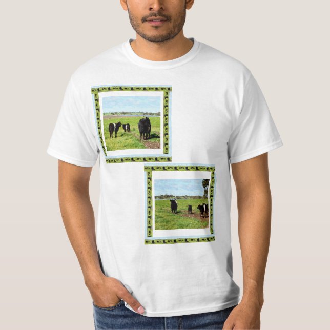 Belted Galloway Cow Family,     T-Shirt (Front)
