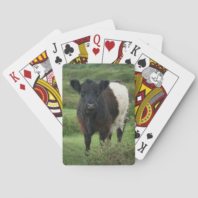 Belted Galloway Cow Playing Cards (Back)