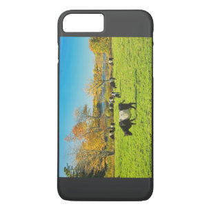 Belted Galloway Cows Grazing On Grass In Fall iPhone 8 Plus/7 Plus Case