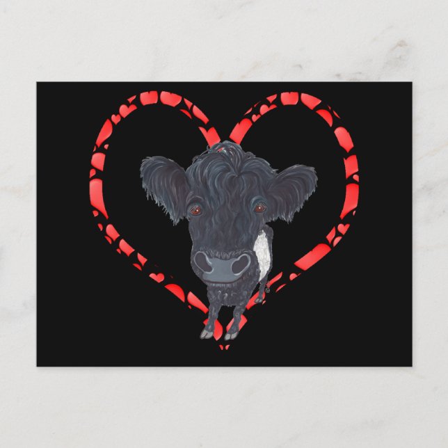 BELTED GALLOWAY HEART HOLIDAY POSTCARD (Front)