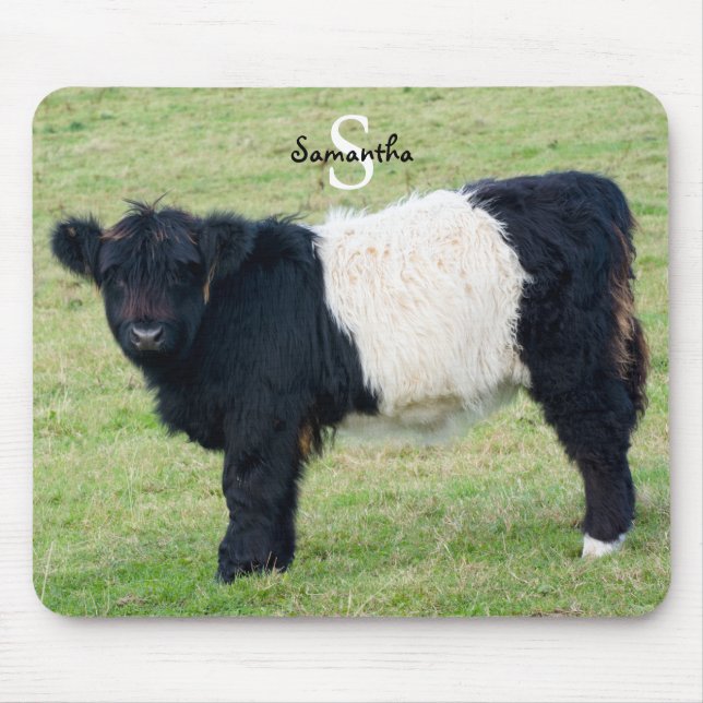 Belted Galloway Mouse Mat (Front)
