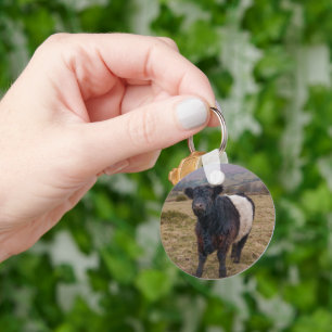 Belted Galloway Standing Proud on Dartmoor Farmlan Key Ring