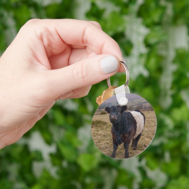 Belted Galloway Standing Proud on Dartmoor Farmlan Key Ring (Hand)