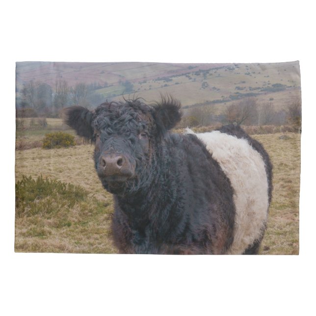 Belted Galloway Standing Proud on Dartmoor Farmlan Pillowcase (Back)