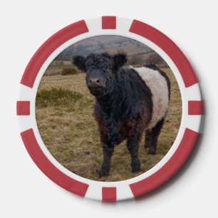 Belted Galloway Standing Proud on Dartmoor Farmlan Poker Chips