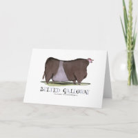 belted galloway, tony fernandes