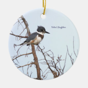 Belted Kingfisher Bird Ornament 