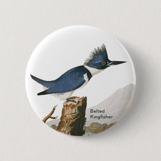 Belted Kingfisher by John James Audubon, Bird 6 Cm Round Badge