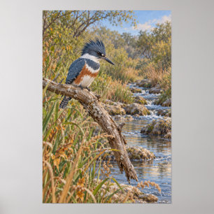 Belted Kingfisher by the Stream Poster
