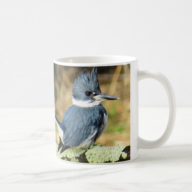 Belted Kingfisher Coffee Mug (Right)